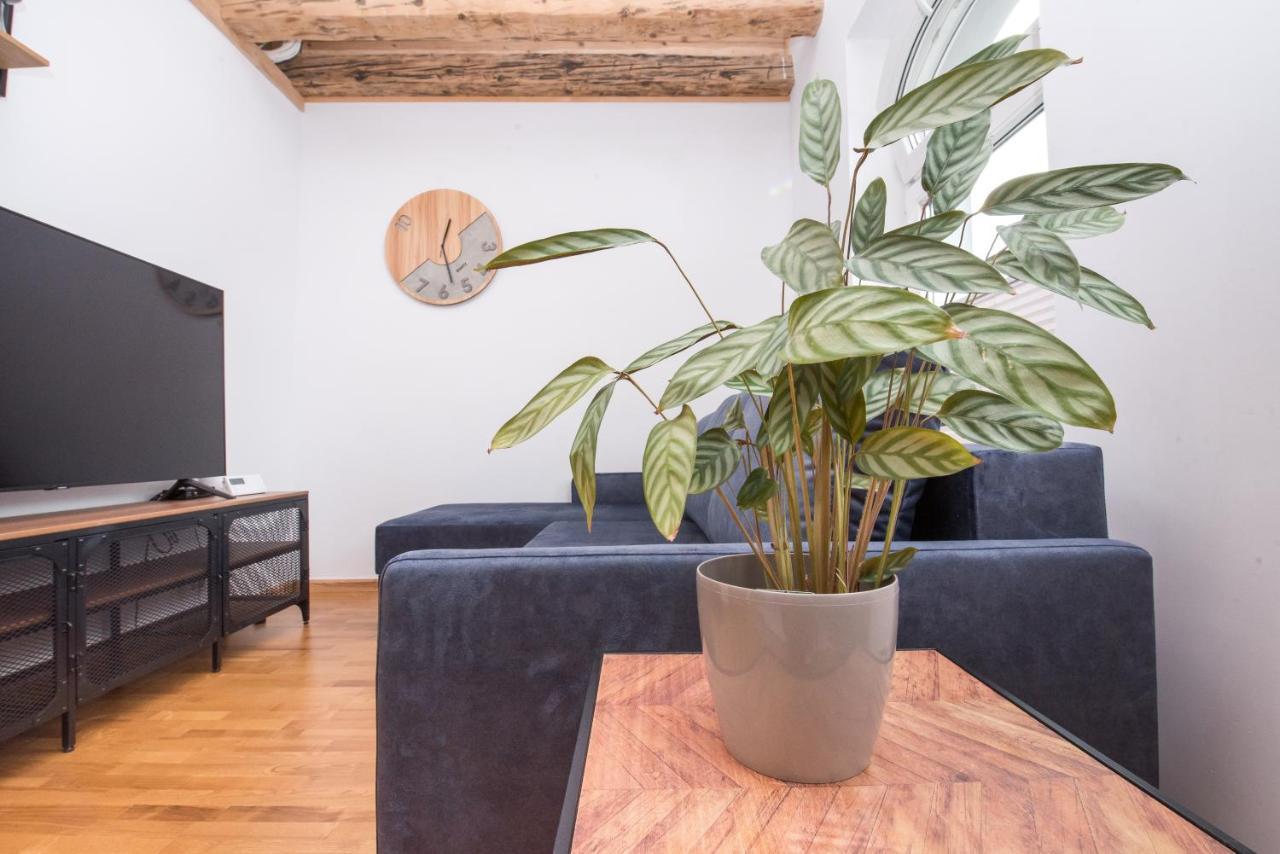 Apartament Nowy Swiat 2 格利维采 外观 照片